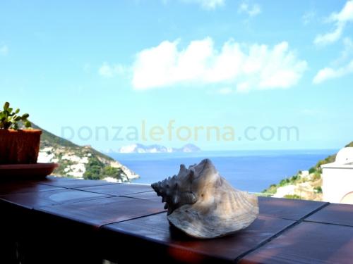 13416ponza-monolocale-oasi-f