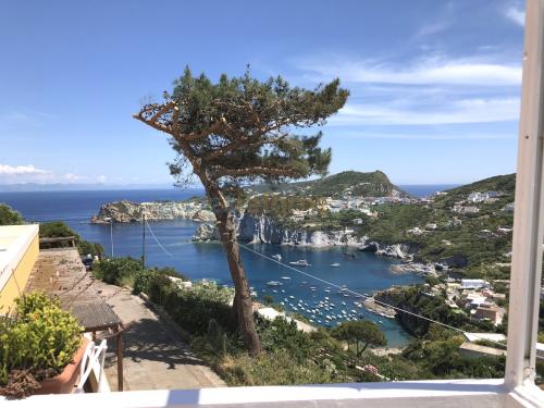 33ponza-casa-vacanza-belvedere